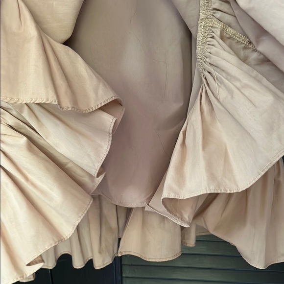 Rodner Figueroa Amazing Coquette Beige-y Pink Ruffle Dress, Size Small - Picture 7 of 15